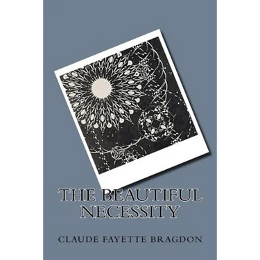 The Beautiful Necessity