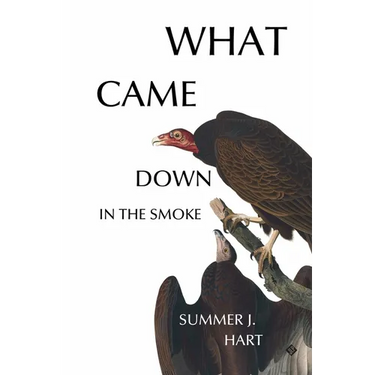 What Came Down in the Smoke
