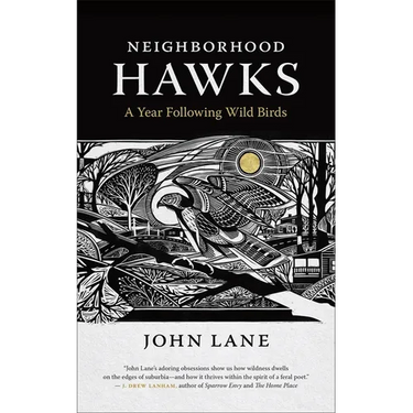 Neighborhood Hawks: A Year Following Wild Birds
