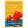 The Bridge Between Worlds: A Brief History of Connection