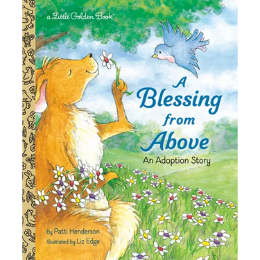 A Blessing from Above: An Adoption Story