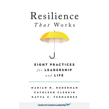 Resilience That Works: Eight Practices for Leadership and Life