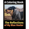 The Reflections of My Blue Heeler: A Coloring Book