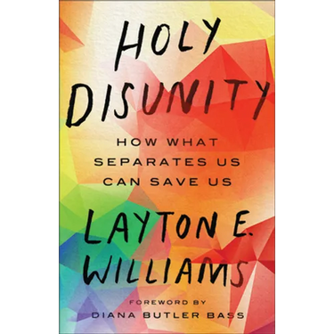Holy Disunity: How What Separates Us Can Save Us