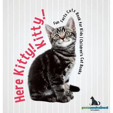 Here Kitty! Kitty! Fun Facts Cats Book for Kids Children's Cat Books