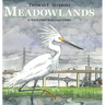 Meadowlands: A Wetlands Survival Story