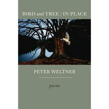BIRD and TREE / IN PLACE