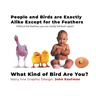 People And Birds Are Exactly Alike Except For The Feathers