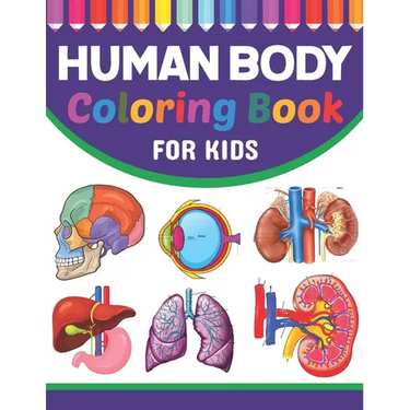 Human Body Coloring Book For Kids: Collection of Simple Illustrations of Human Body Parts. Human Body Parts For Children's Boys & Girls. Brain Heart L