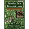 Rescuing Baby Rabbits & Hares: Guide for Wildlife Rehabilitators