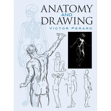 Anatomy and Drawing