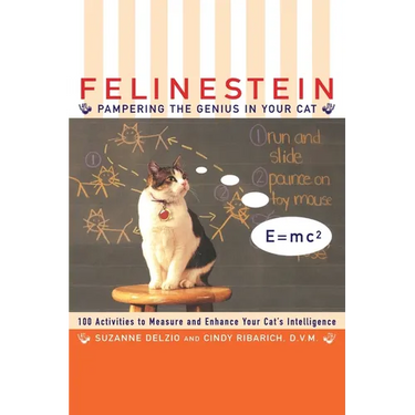 Felinestein: Pampering the Genius in Your Cat