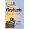 Eggshells and Elephants - My Cancer Journey Thus Far
