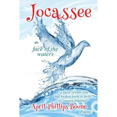 Jocassee: face of the waters