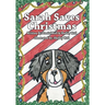 Sarah Saves Christmas