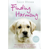 Finding Harmony: The remarkable dog that helped a family through the darkest of times