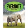Evernote Journal