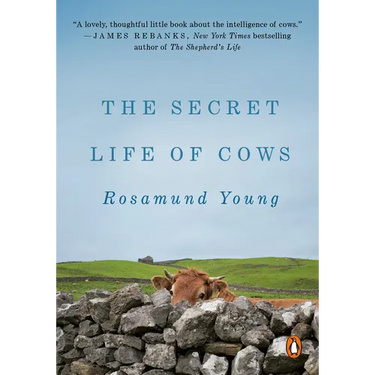 The Secret Life of Cows
