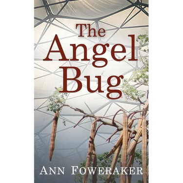 The Angel Bug