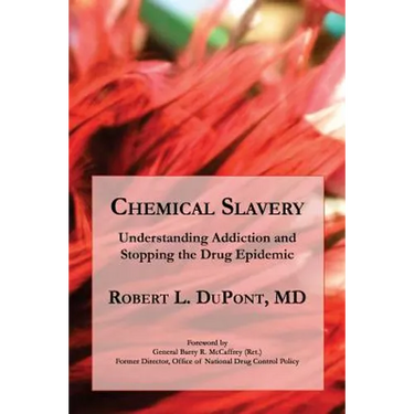 Chemical Slavery: Understanding Addiction and Stopping the Drug Epidemic