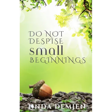 Do Not Despise Small Beginnings
