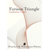 Furious Triangle