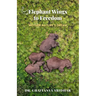 Elephant Wings to Freedom: Mother Nature's Dream