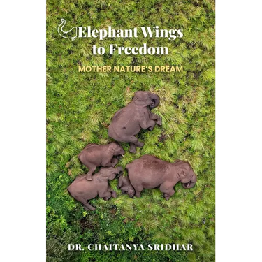 Elephant Wings to Freedom: Mother Nature's Dream