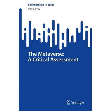 The Metaverse: A Critical Assessment