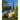 Georgetown University: An Architectural History