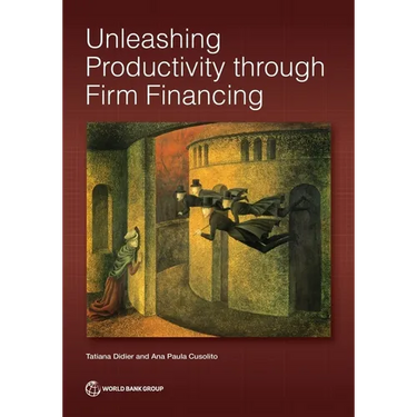 Unleashing Productivity Through Firm Financing