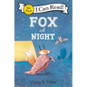 Fox at Night