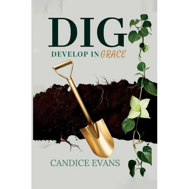 Dig: Develop in Grace