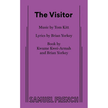 The Visitor