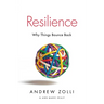 Resilience: Why Things Bounce Back