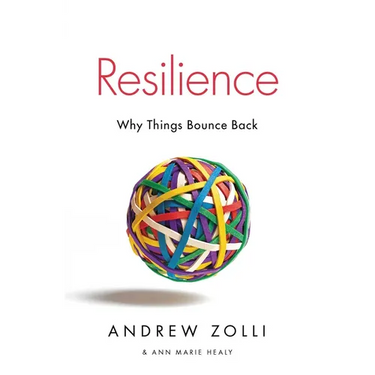 Resilience: Why Things Bounce Back