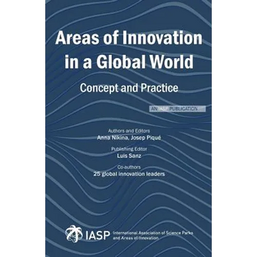 Areas of Innovation in a Global World: Concept and Practice