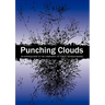 Punching Clouds: An Introduction to the Complexity of Public Decision-Making