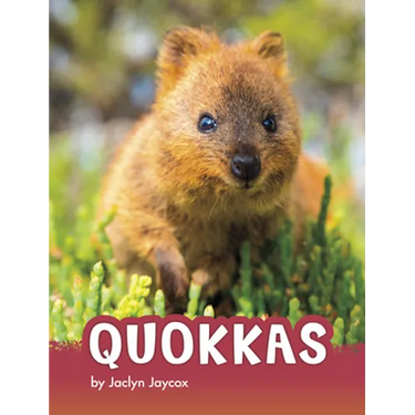 Quokkas
