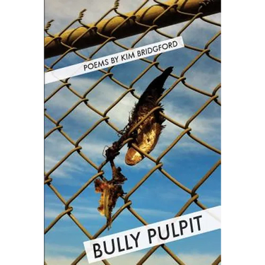 Bully Pulpit