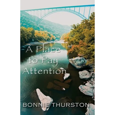 A Place to Pay Attention