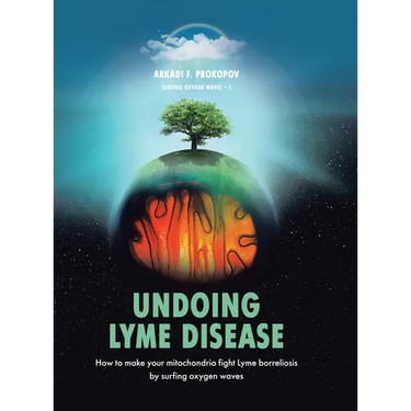 Undoing Lyme Disease: How to Make Your Mitochondria Fight Lyme Borreliosis by Surfing Oxygen Waves