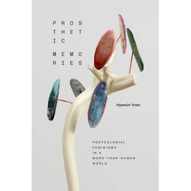 Prosthetic Memories: Postcolonial Feminisms in a More-Than-Human World
