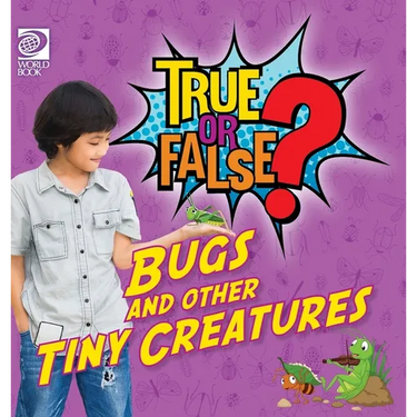 True or False? Bugs and Other Tiny Creatures