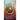 The Affiliate (Hardcover)