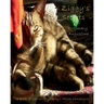 Ziggy's Secrets: An Internet Password Keeper