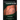 A Guide to Dissection of the Human Body