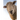 Sheep: Domestic Sheep Are Quadrupedal, Ruminant Mammals Typically Kept as Livestock. Like Most Ruminants, Sheep Are Members o