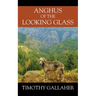 Anghus of the Looking Glass