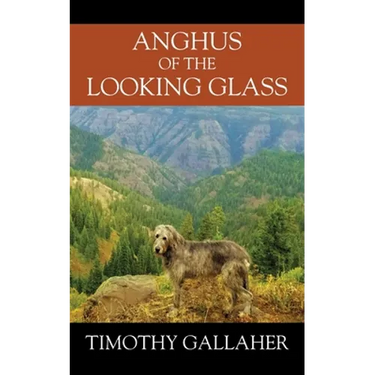Anghus of the Looking Glass